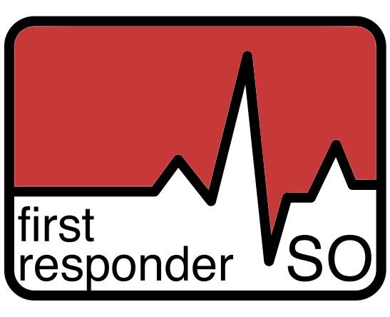 Solothurner Spitäler Logo